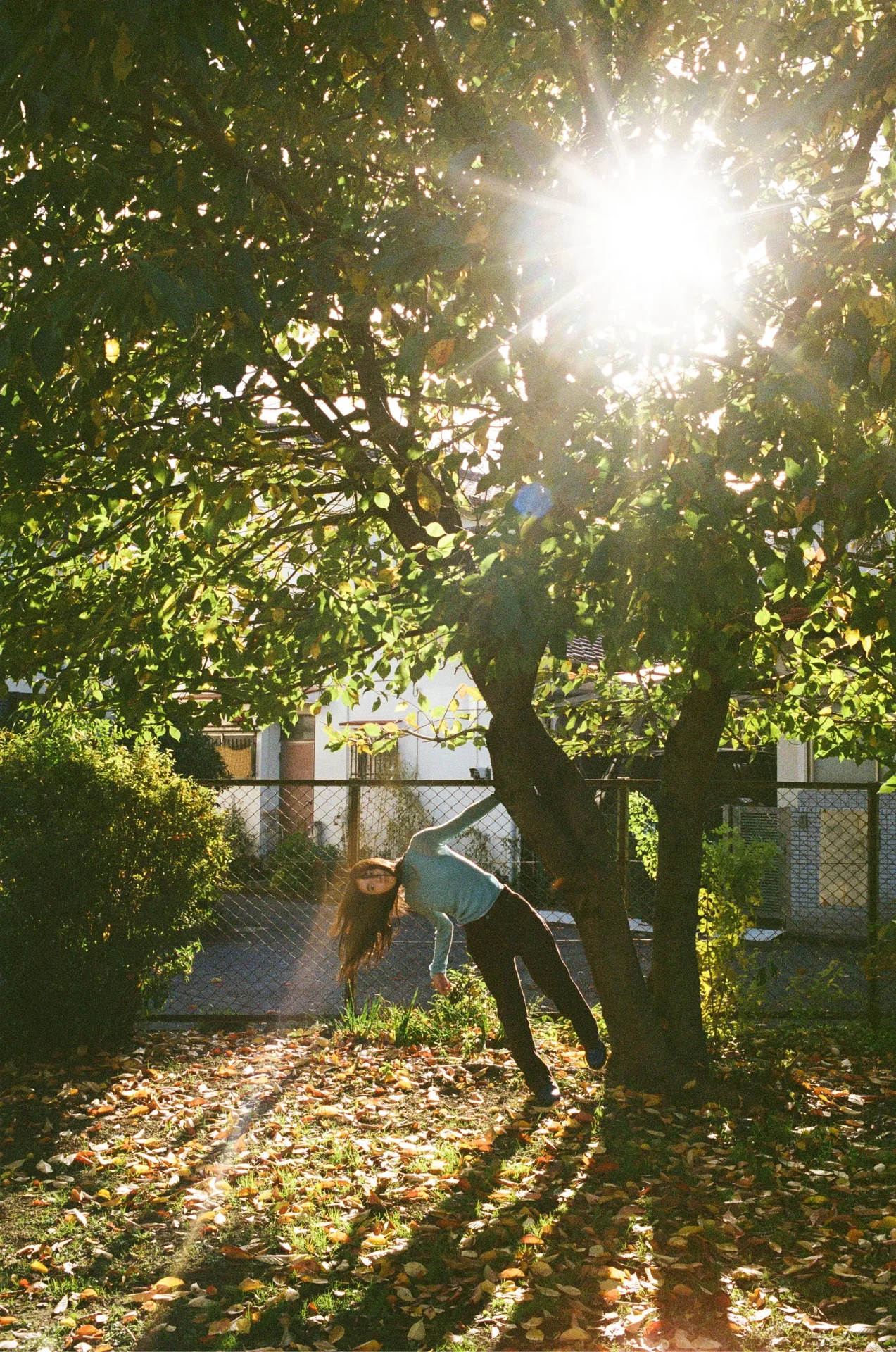 X TREATMENT IMAGE / 5